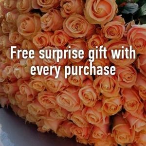 Must pay listed price. Must pay for shipping.